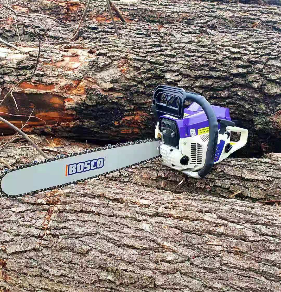 ibosco.vn
